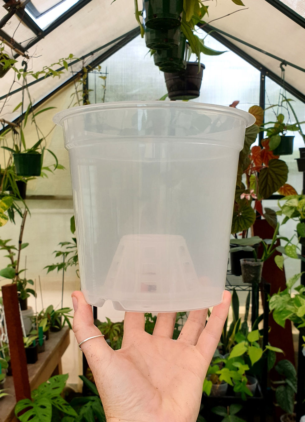 Clear Nursery Pots Wildvine New Zealand