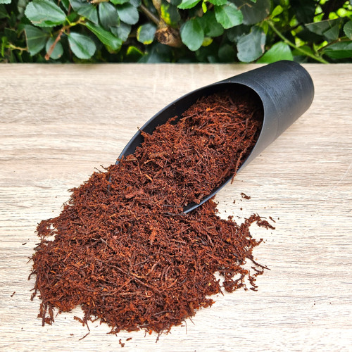 Tree Fern Fibre Substrate | Wildvine Theshop