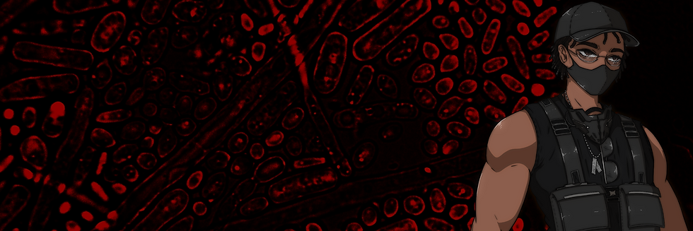 My project (7).png