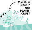 plasticrust 2.jpg