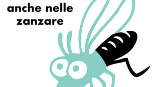 Le ali della plastica