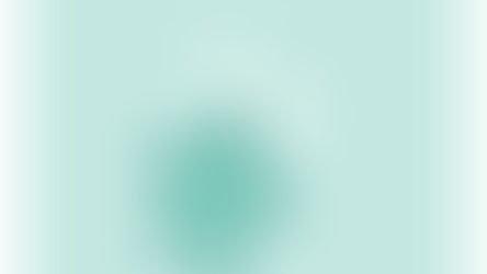 Proteggiamo le tartarughe