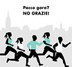 pacco-gara.jpg