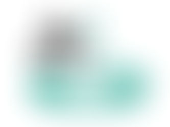 L'età della plastica