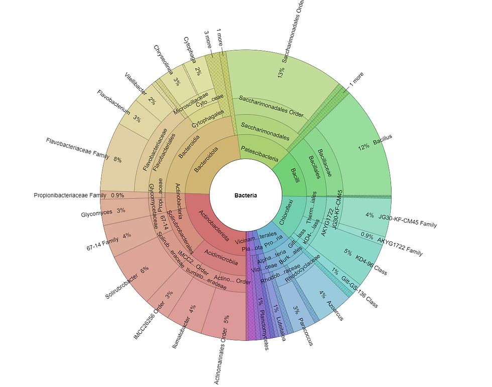 Thumbnail: Bacteria and Fungi Liquid Microbiome Analysis