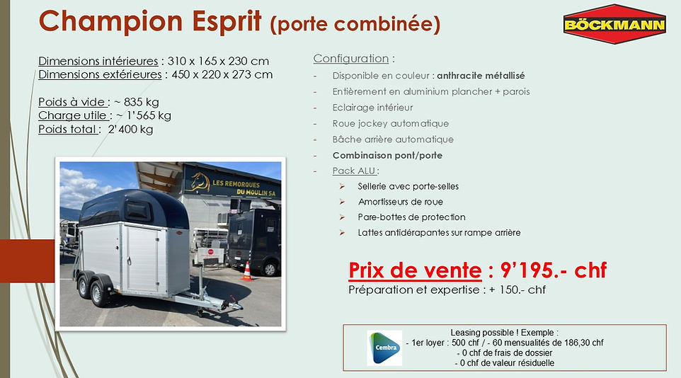 Champion Esprit (porte combinée) Böckmann.jpg