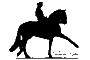 logo.dressage.ch.gif