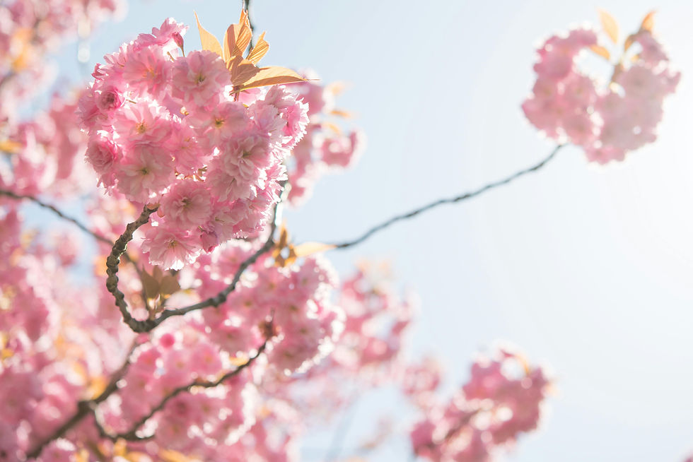 Good energy for Spring!
