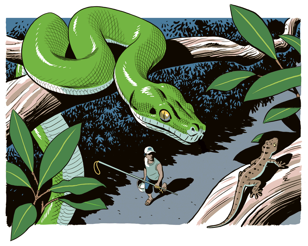 03SNAKE-GIF-superJumbo.gif
