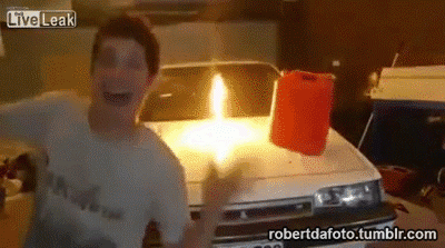 Iqfi.gif