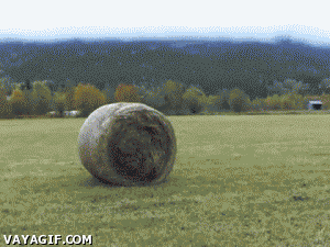 8GIt.gif