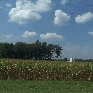 9SwL.gif