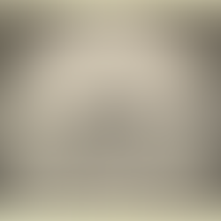 Lo visceral y lo académico 