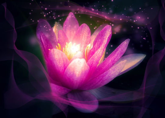flower-3103636_1920 (1).jpg