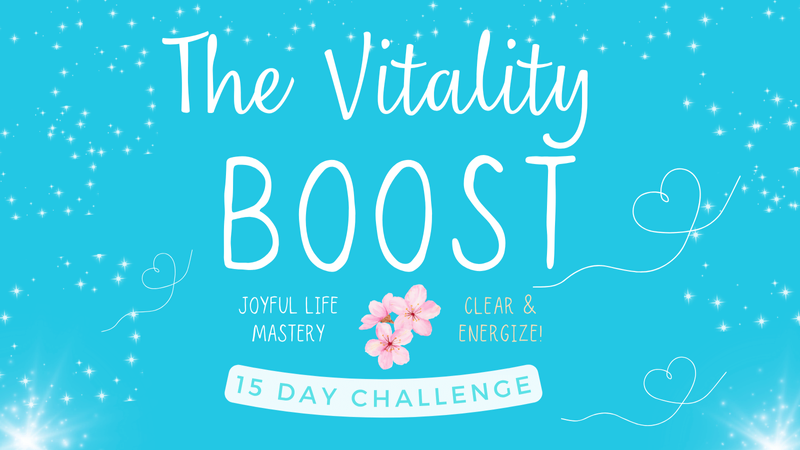 Joyful Abundance daily gratitude journal