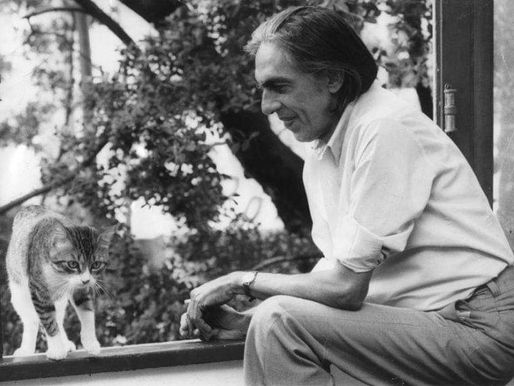 GATO PENSA?, de Ferreira Gullar (10 de Setembro de 1930 – 4 de Dezembro de 2016), poeta brasileiro.