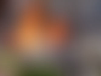 Veja Video: Homem ateia fogo ao próprio corpo durante julgamento de Trump.