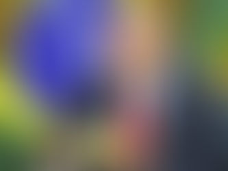 Lula bloqueia verba para alfabetização, transporte escolar e bolsas de estudo