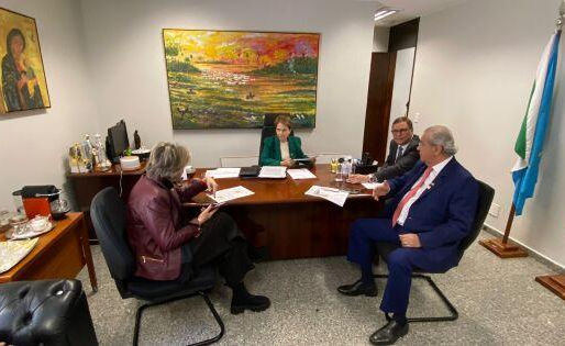 Conama ameaça suspender leis sobre o Pantanal e senadores de MT e MS se unem