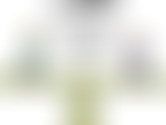 APRENDA ENCERRAR CICLO COM MATURIDADE