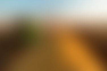 Os 35 Municípios Mais Ricos do Mato Grosso.