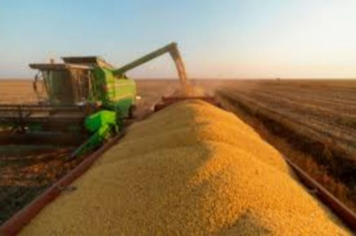 Os 35 Municípios Mais Ricos do Mato Grosso.