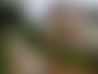 Choveu, mas não tinha ninguém na janela.