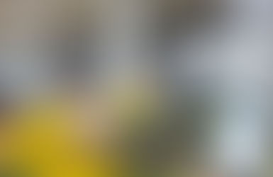 AGU pede prisão em flagrante de bolsonaristas e do ex-ministro Anderson Torres