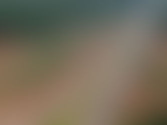 Nova Maringá - Corpo Encontrado em Avançado estado de decomposição.