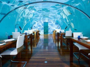 Would you like to stay in an underwater villa?