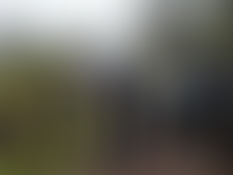 Tourists Arrested in Costa Rica for Booking the Wrong Tour — Why a Travel Advisor Is Your Best Protection