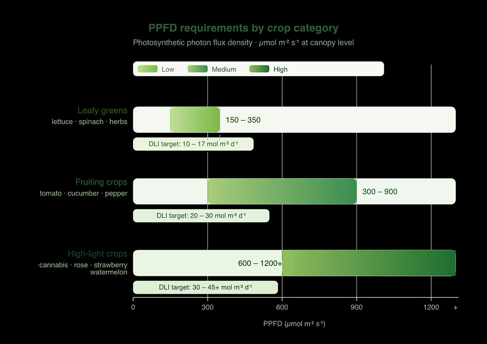 infographic showing PPFD ranges for leafy greens fruiting crops and high light plants