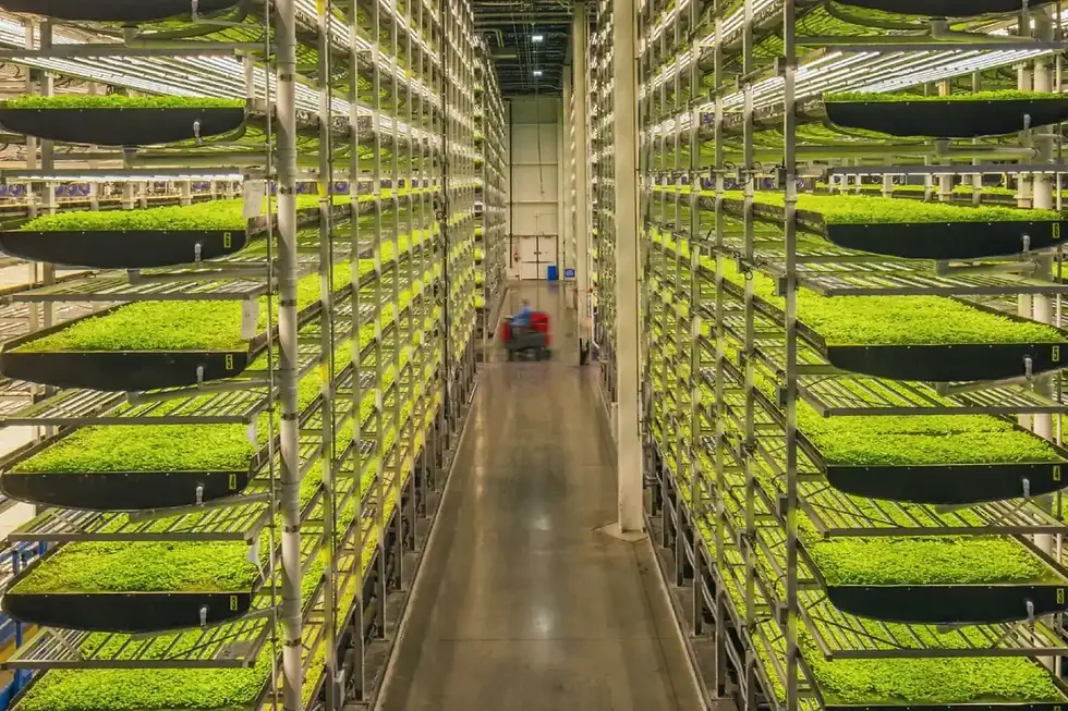 Modern vertical farm for micro-greens