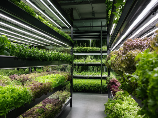 custom LED modules and linear systems for grow lights