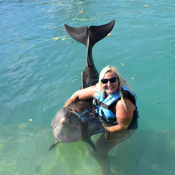 ashley dolphin.jpg