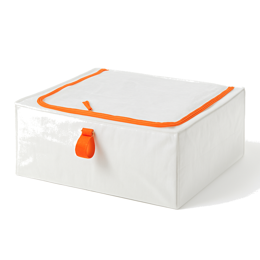 Under-Bed Storage Case x2