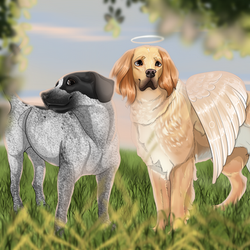 Deux chiens réunis, ne se connaissant pas.