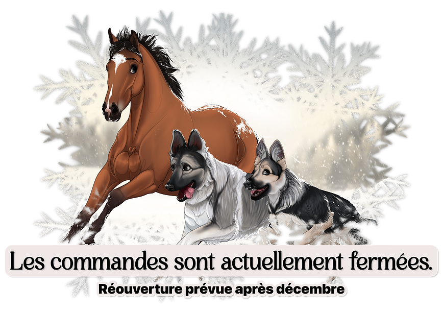 Sans titre 346_20251201110917.png