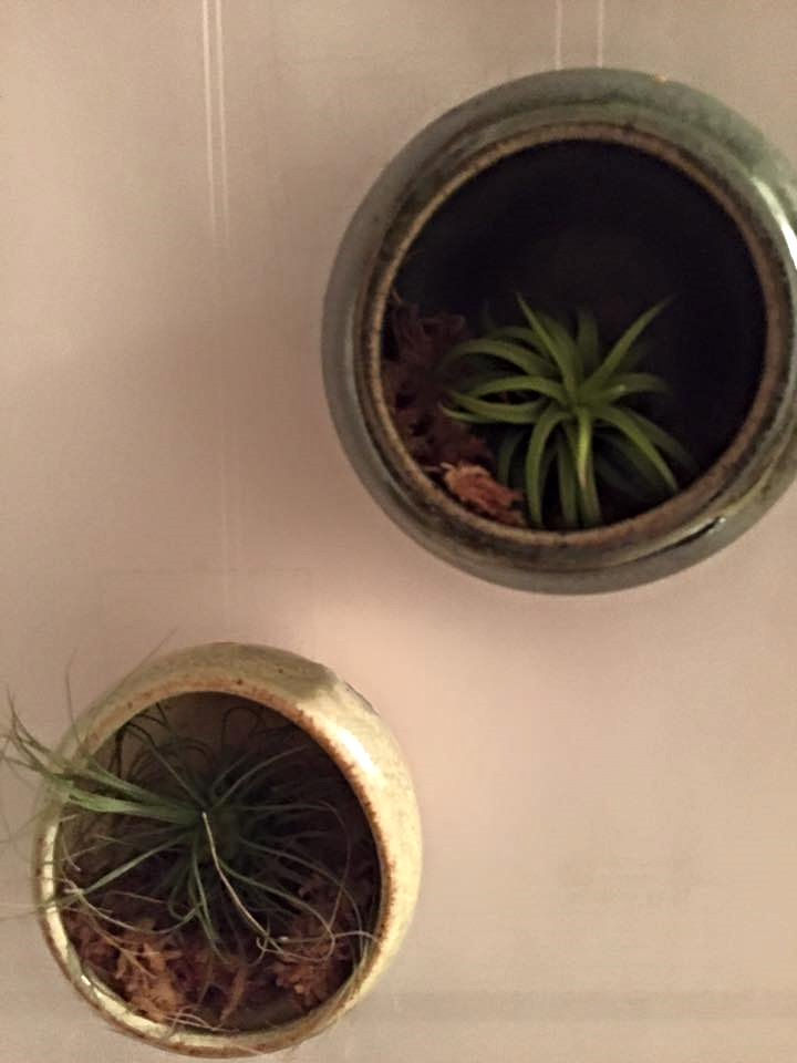 Air Plant Hanging Planter