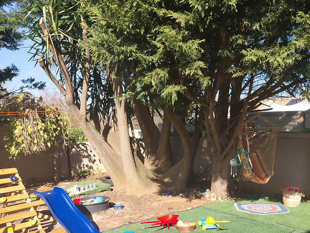 Our outside play area is where the magic truly happens. Children can climb and explore and engage under the watchful eye of Ben, the tree.