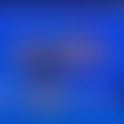 Infinite Solutions at Expo Georgia’s Real Estate Exhibition