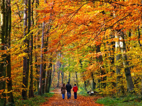 Autumn in Portugal.