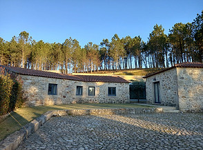 Villa for sale Paredes de Coura Infinite Solutions (27).jpg