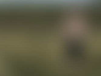 4 Longevity Fundamentals