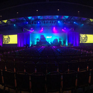 Disney Data Analytic Lion King Musical Lighting Display