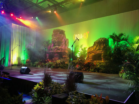 Disney Data Analytic Lion King Musical Lighting Display