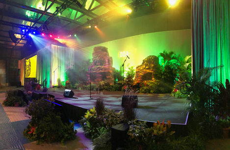 Disney Data Analytic Lion King Musical Lighting Display