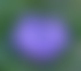 165 Meditación a Distancia