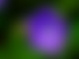 APLICACIÓN CONSCIENTE DE LA LLAMA VIOLETA EN LA TRANSMUTACIÓN