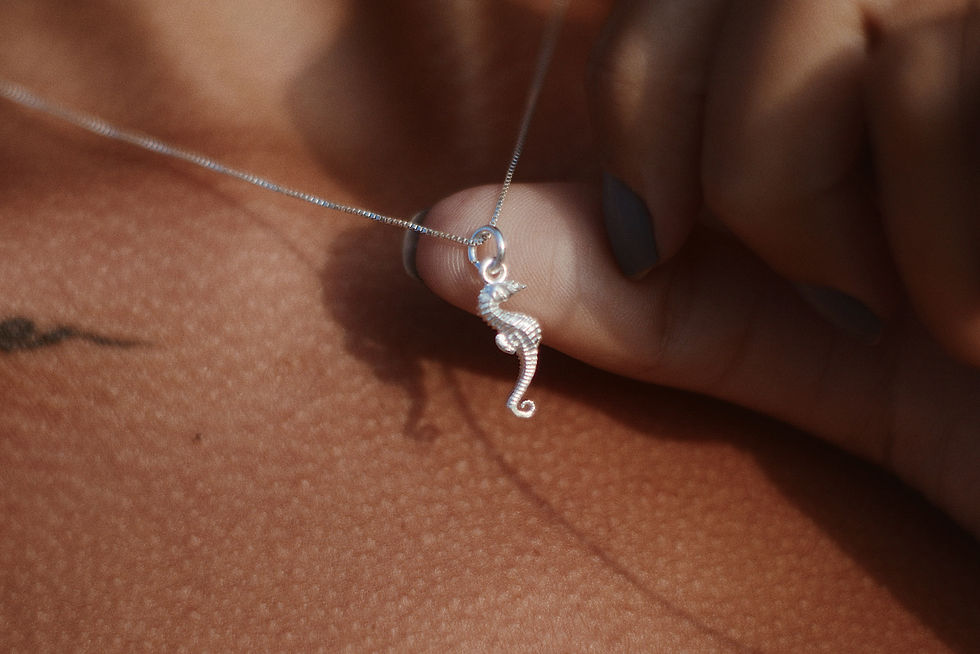 Miniatura: Colar Cavalo Marinho